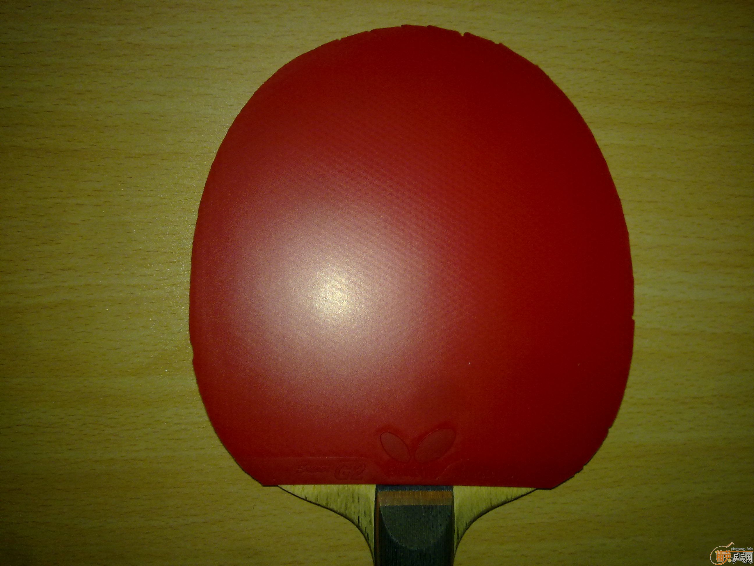 �������׽���T64��������켫����˹����G2��