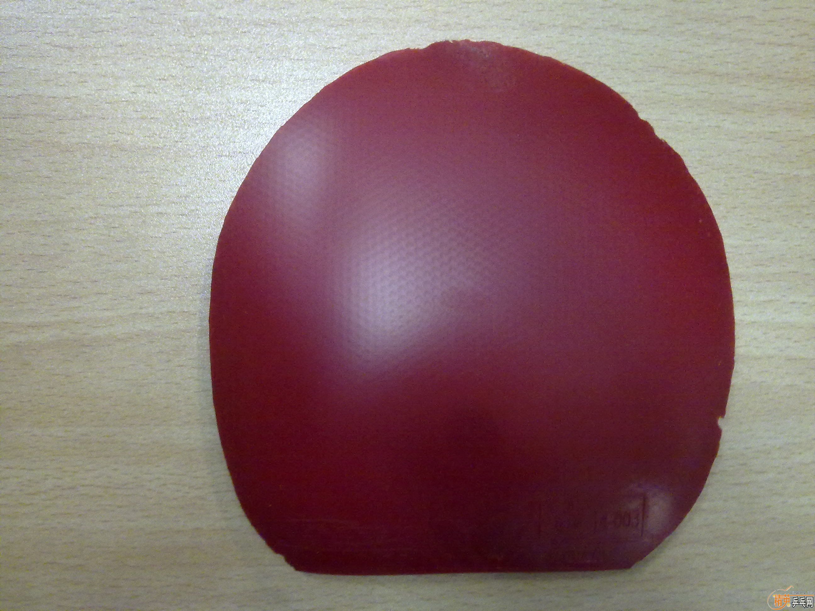 �������׽���T64��������켫����˹����G2��