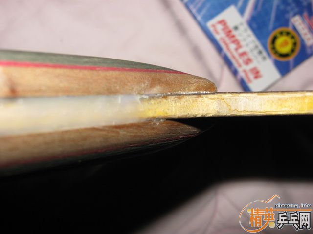 ����ͼ�ˣ�������54+2�鴿����350................................................������