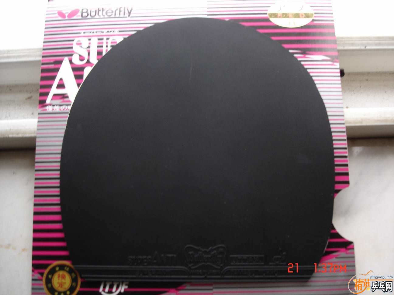 [ԭ��]���ۺ�ɫ���������׽���ֱ�İ��棩��