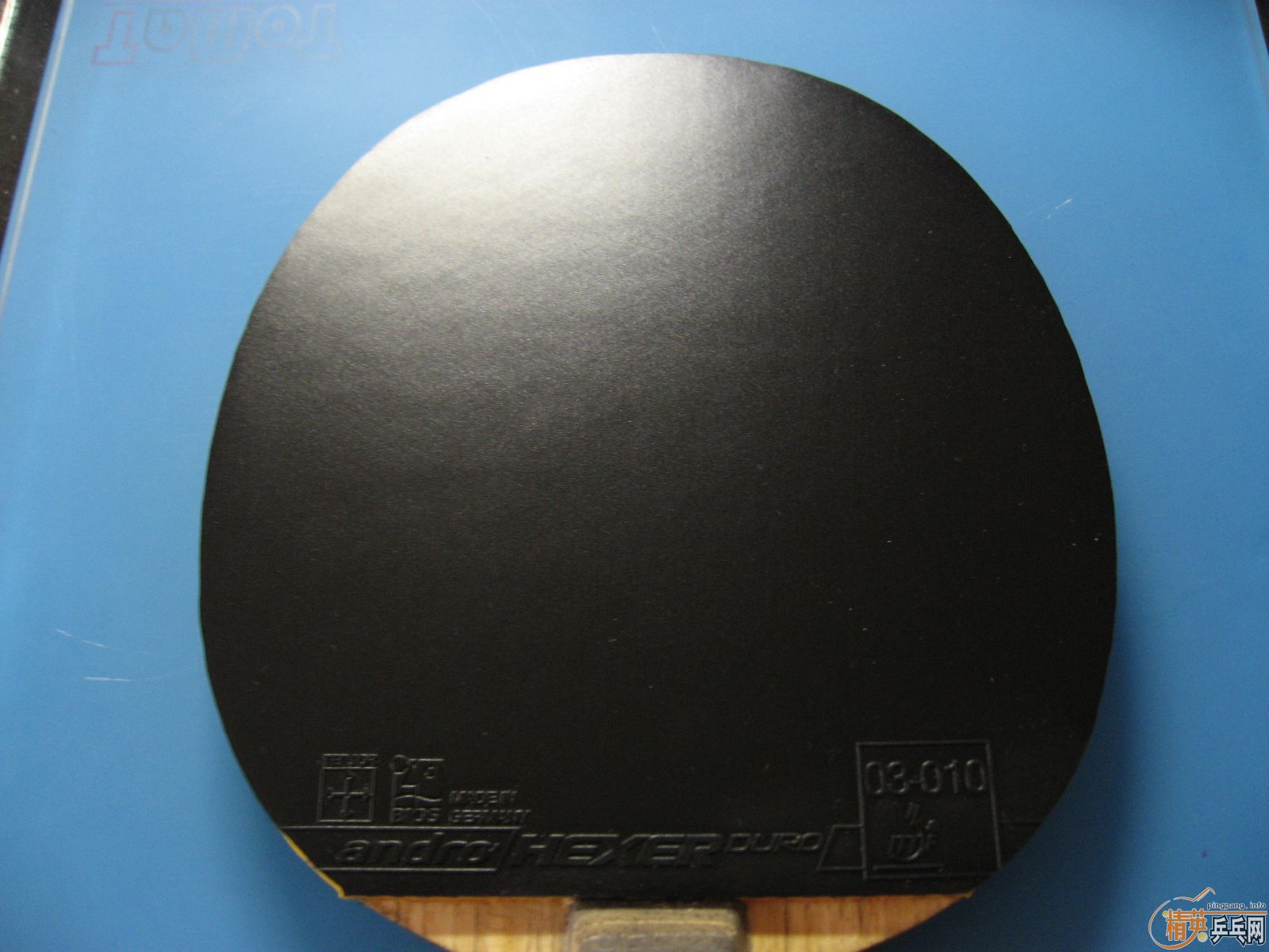 һ��nittaku����+һ��99% hexer duro ��max