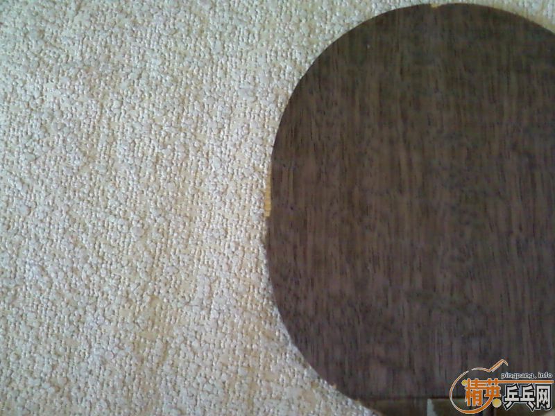 ��FL8���µ���5.4��������R-5ST��