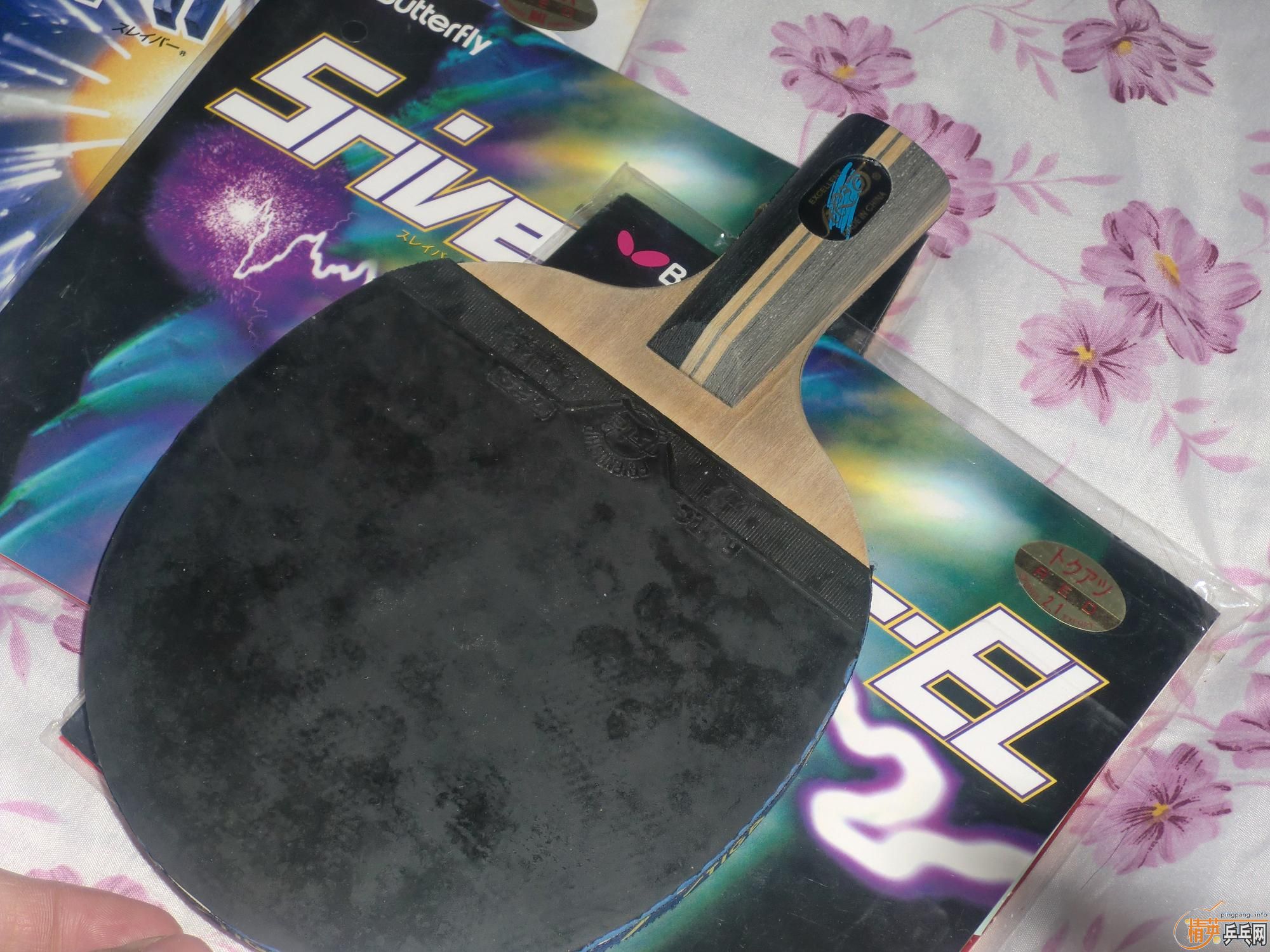 ������ ̼�صװ� ����Ƥ 100���� �ų���