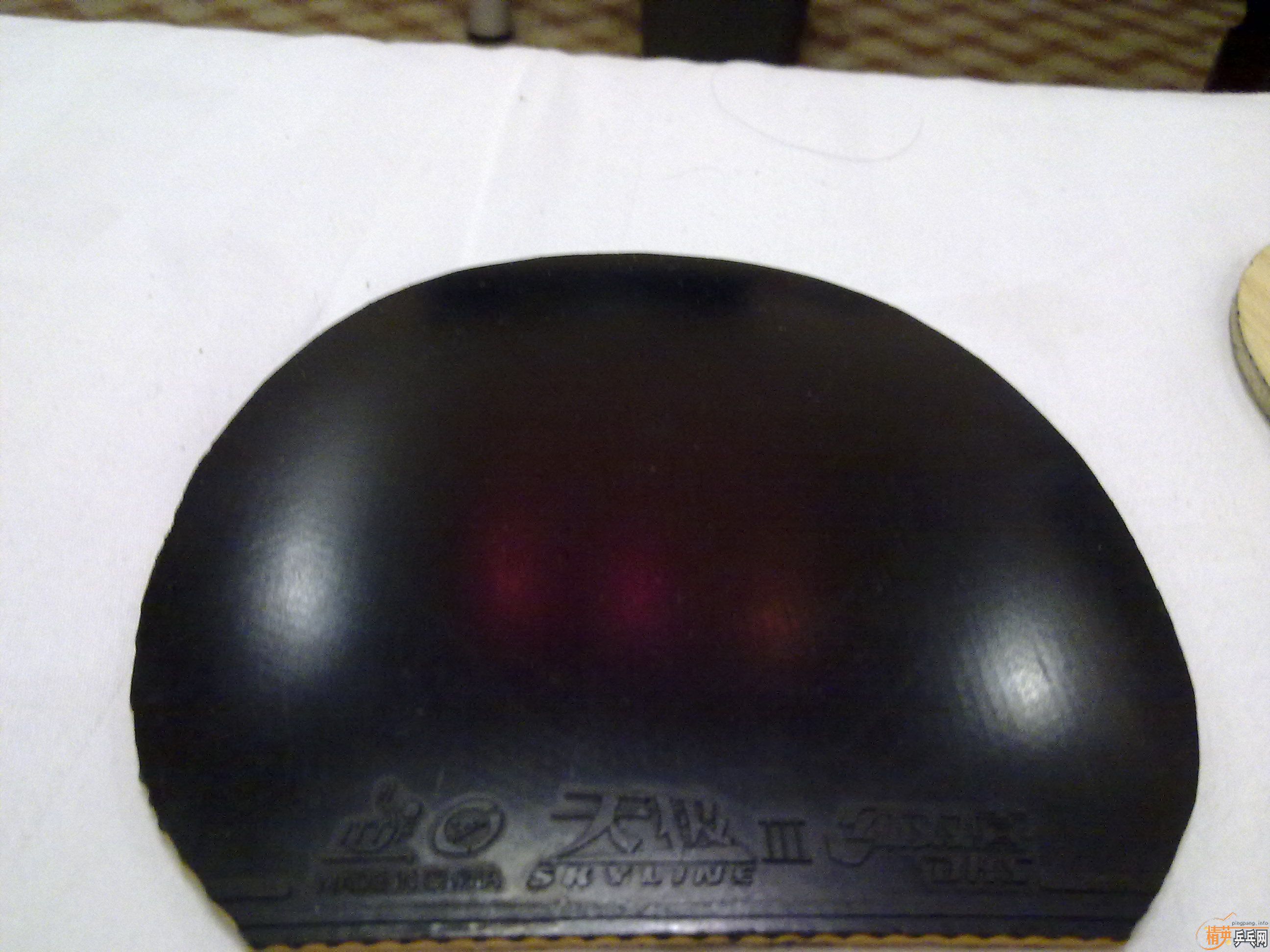 �������׽���T64��������켫����˹����G2��