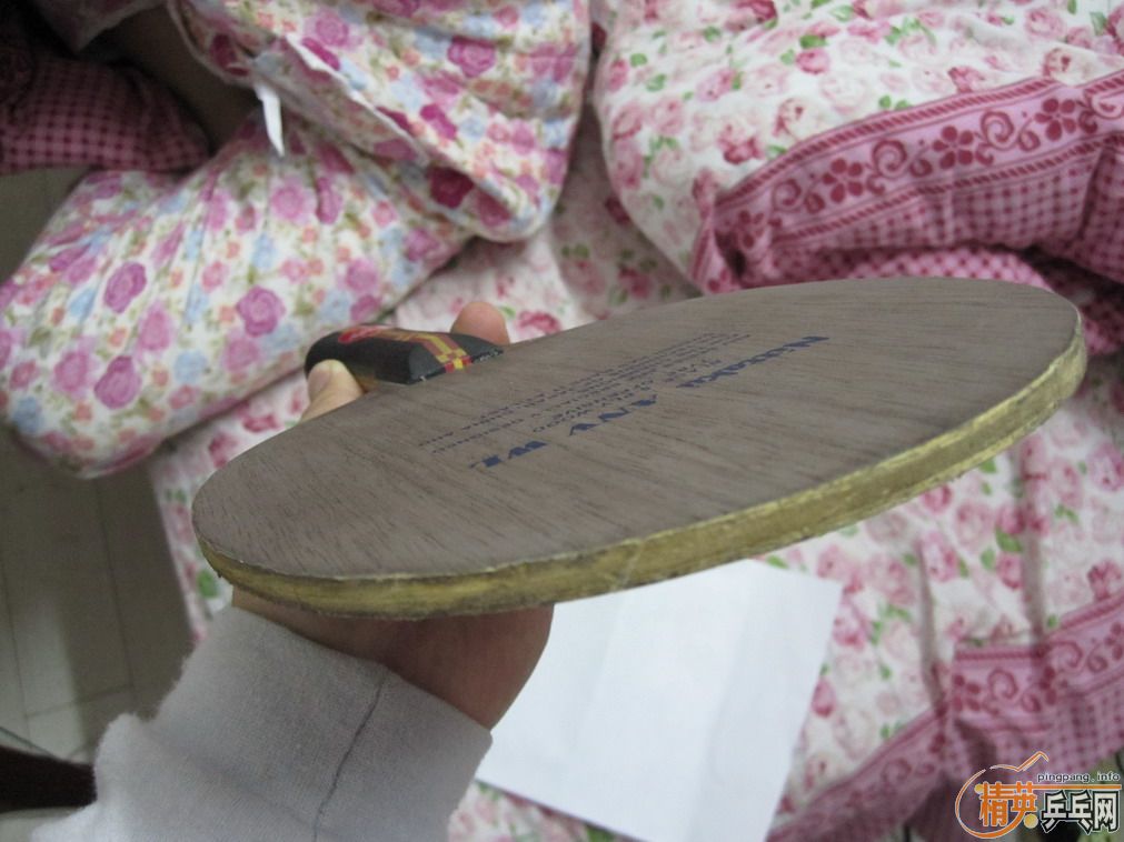 340���ʳ�һ���ɫ������ANV WL