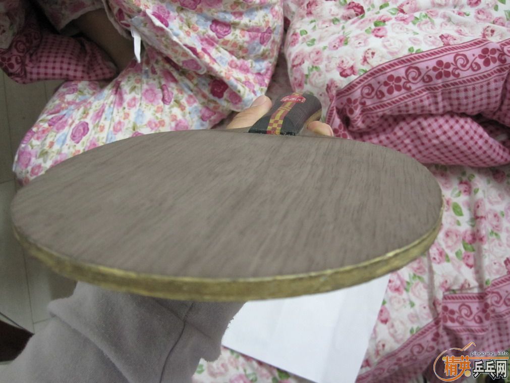 340���ʳ�һ���ɫ������ANV WL