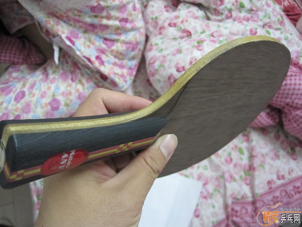 340���ʳ�һ���ɫ������ANV WL