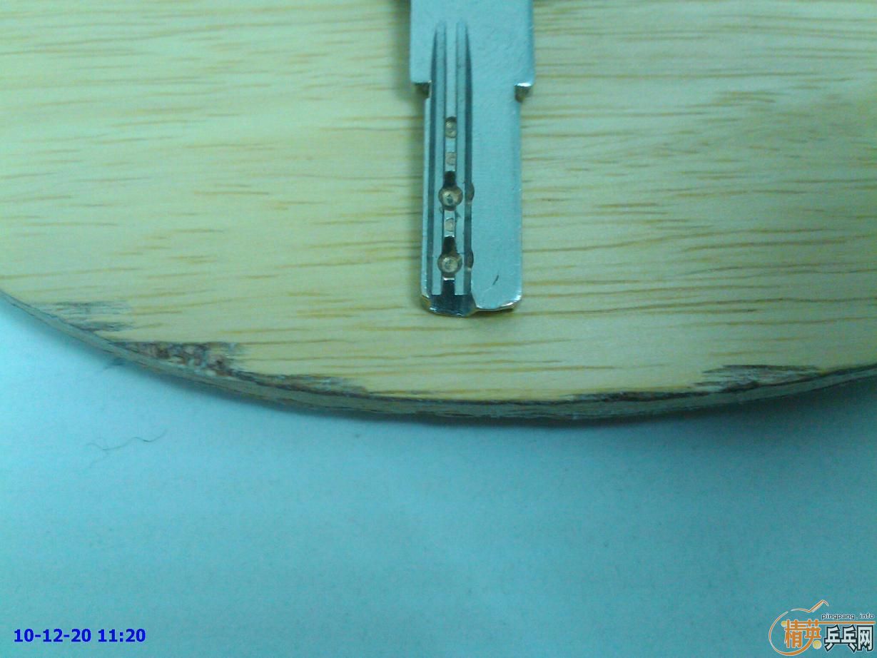 �����ŵװ壺ͦ�� ��ķ���� ��ľ��� ���5.5 �������� Ʒ��һ�� �۸񹫵�