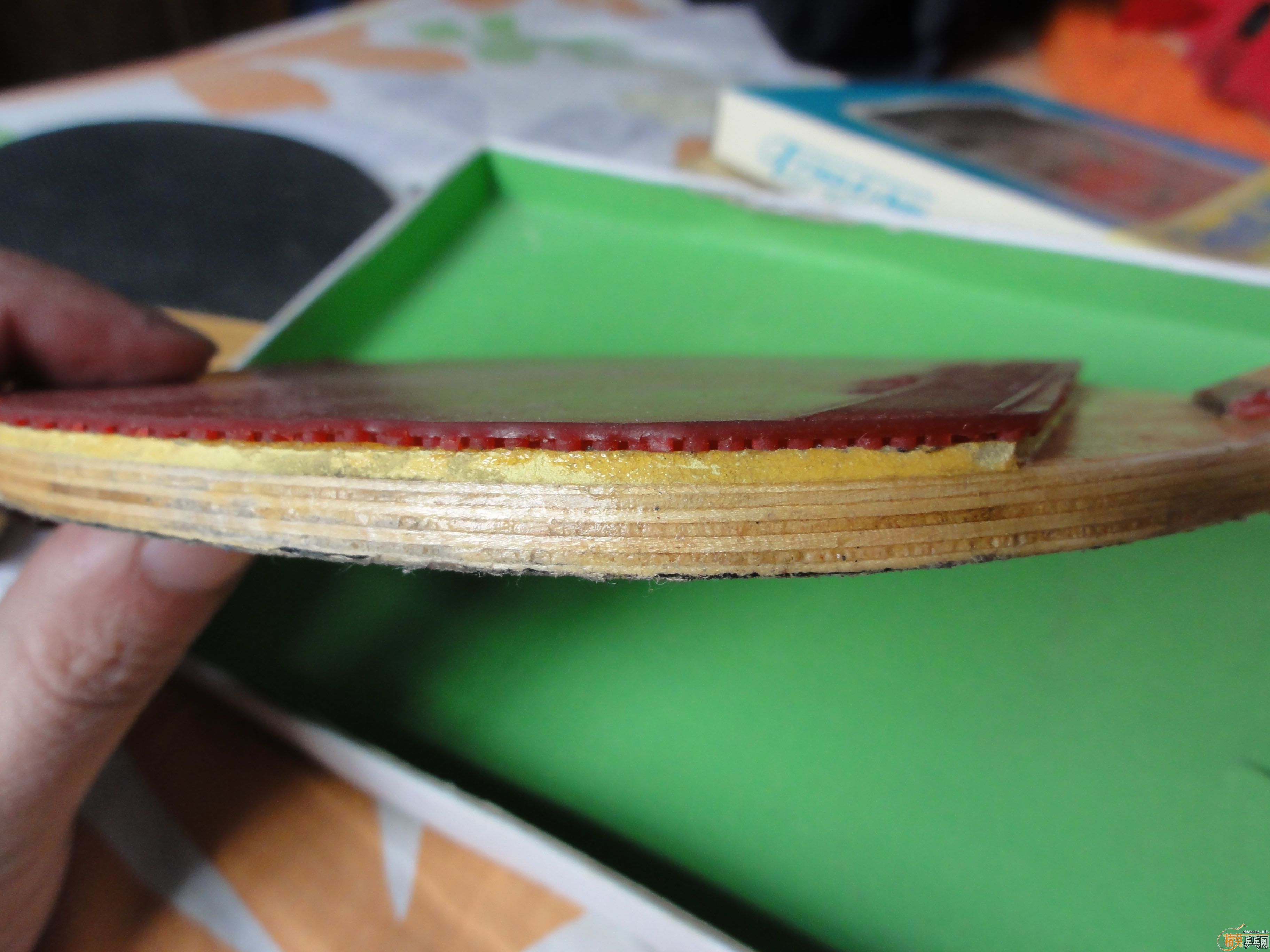 �������ͼ���������١��ϰ弯��Ӫ��˫ϲ�����ꡢ���ӡ���桢Nittaku R5��