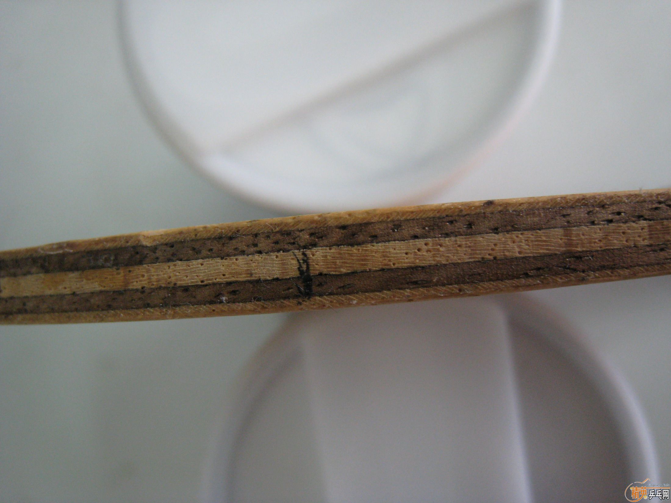 ������3,9.5,600����5.4,9.5��310��YES,9.9,350