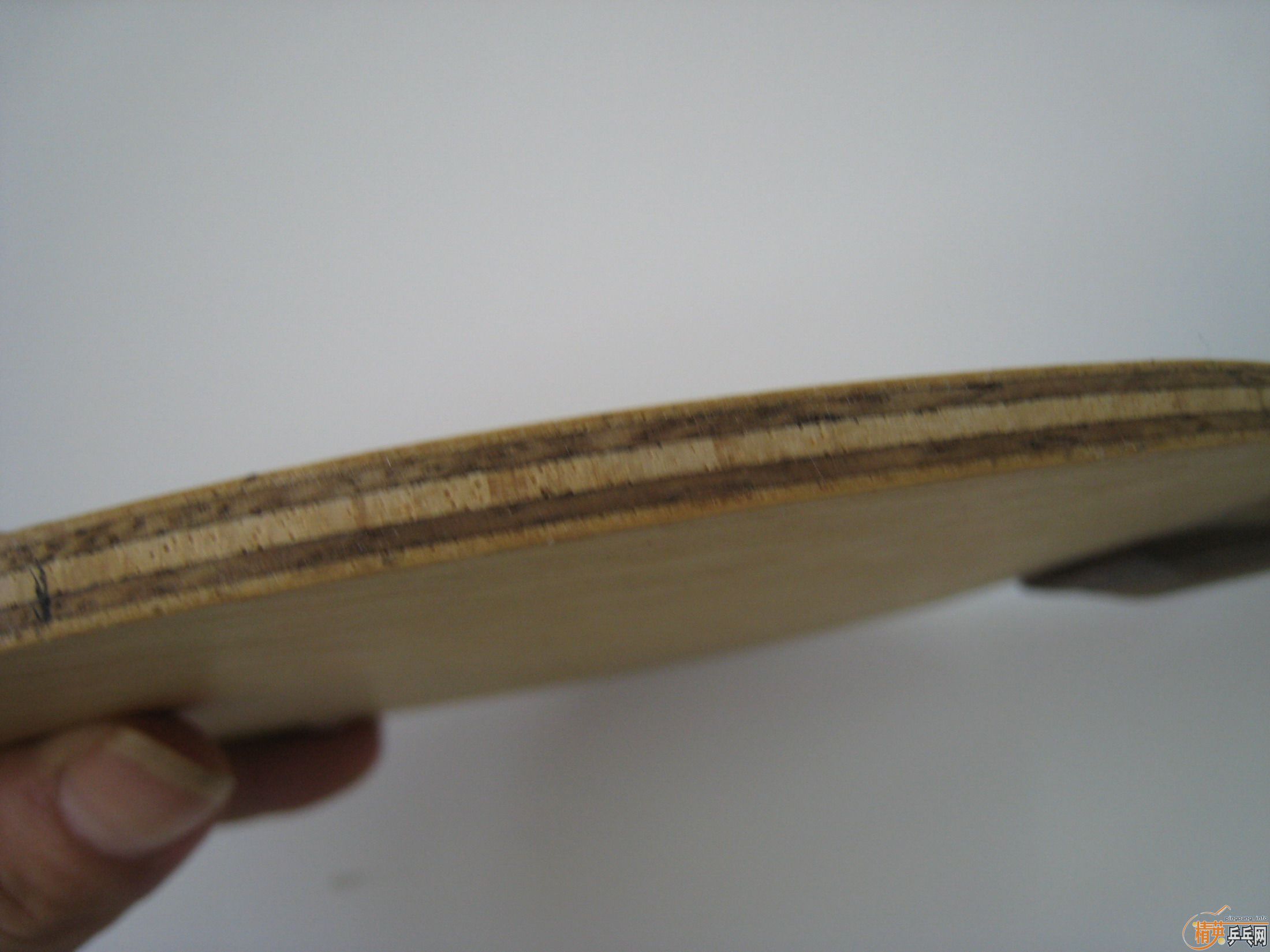 ������3,9.5,600����5.4,9.5��310��YES,9.9,350