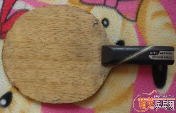 ��һֻP700������