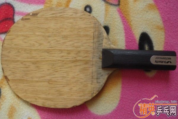 ��һֻP700������