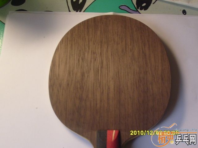 ��9.8������������˿ ̼����