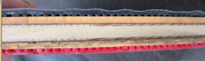 XpTX018D.jpg
