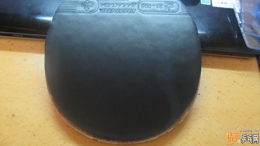 ֱ�����ɫbaracuda С���棬����