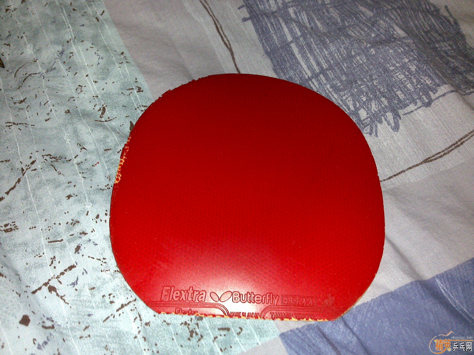 �����ѳ������׽�