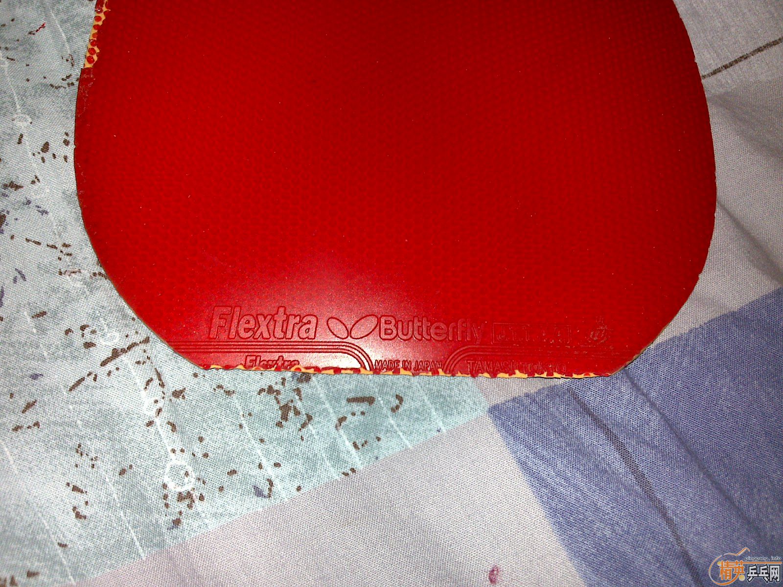 �����ѳ������׽�