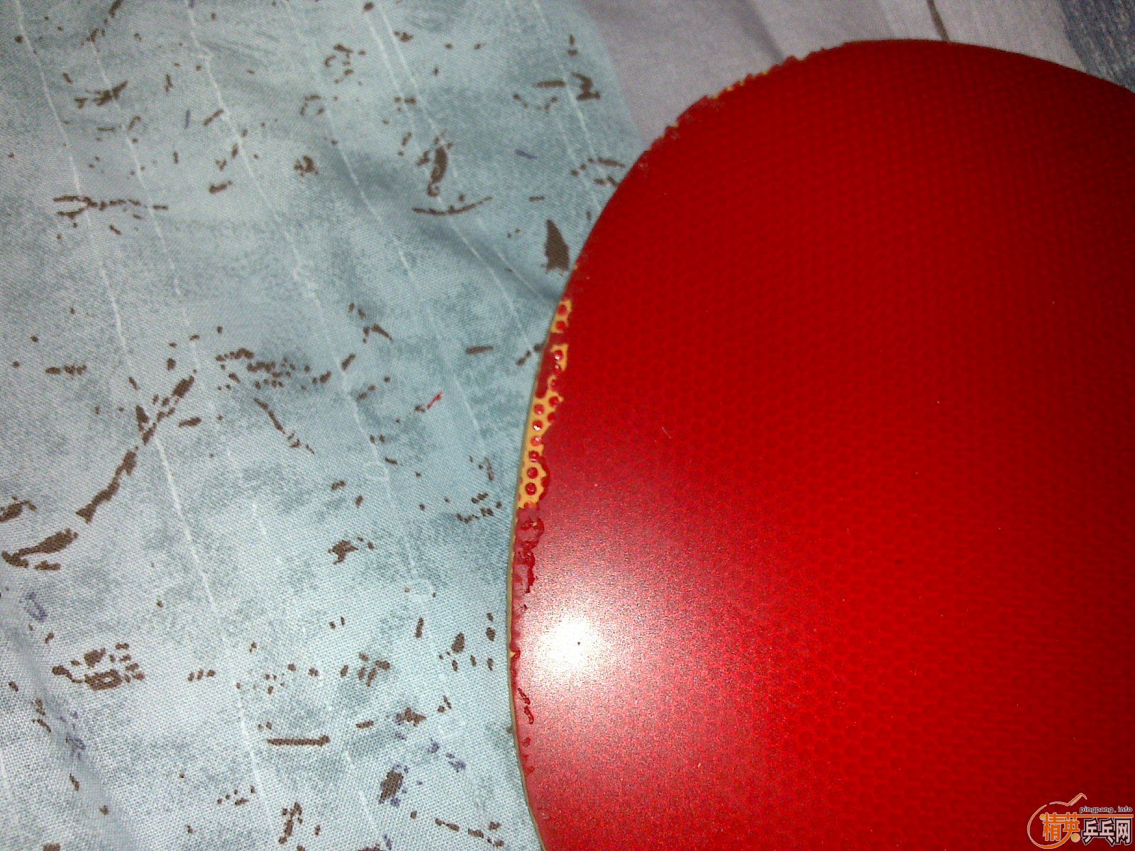 �����ѳ������׽�