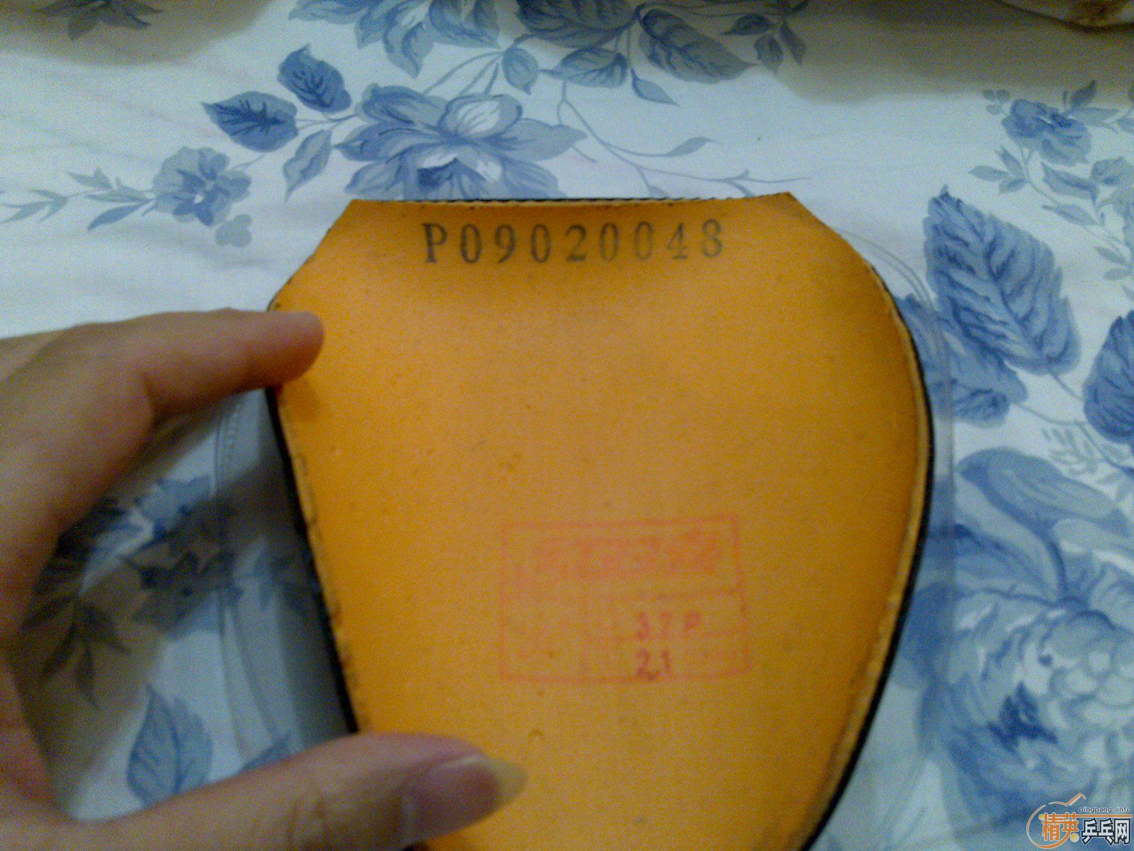 �����ѳ������׽�