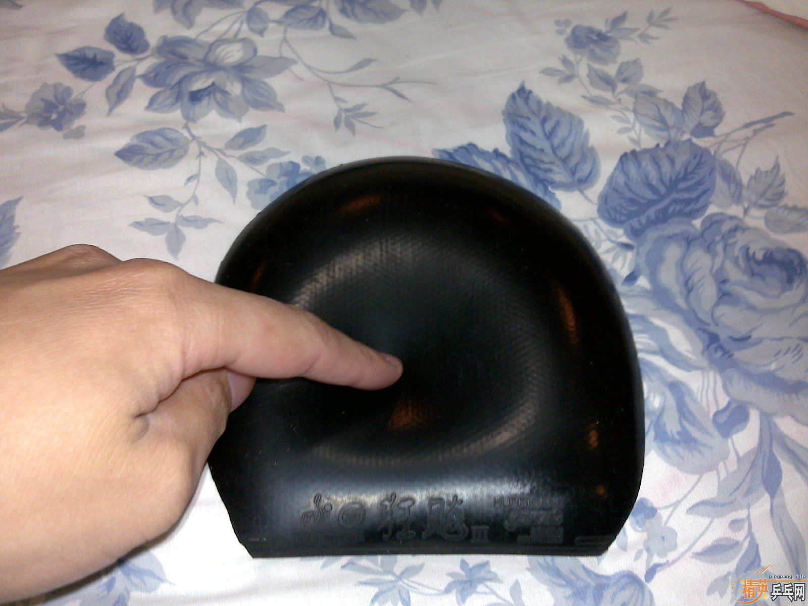 �����ѳ������׽�