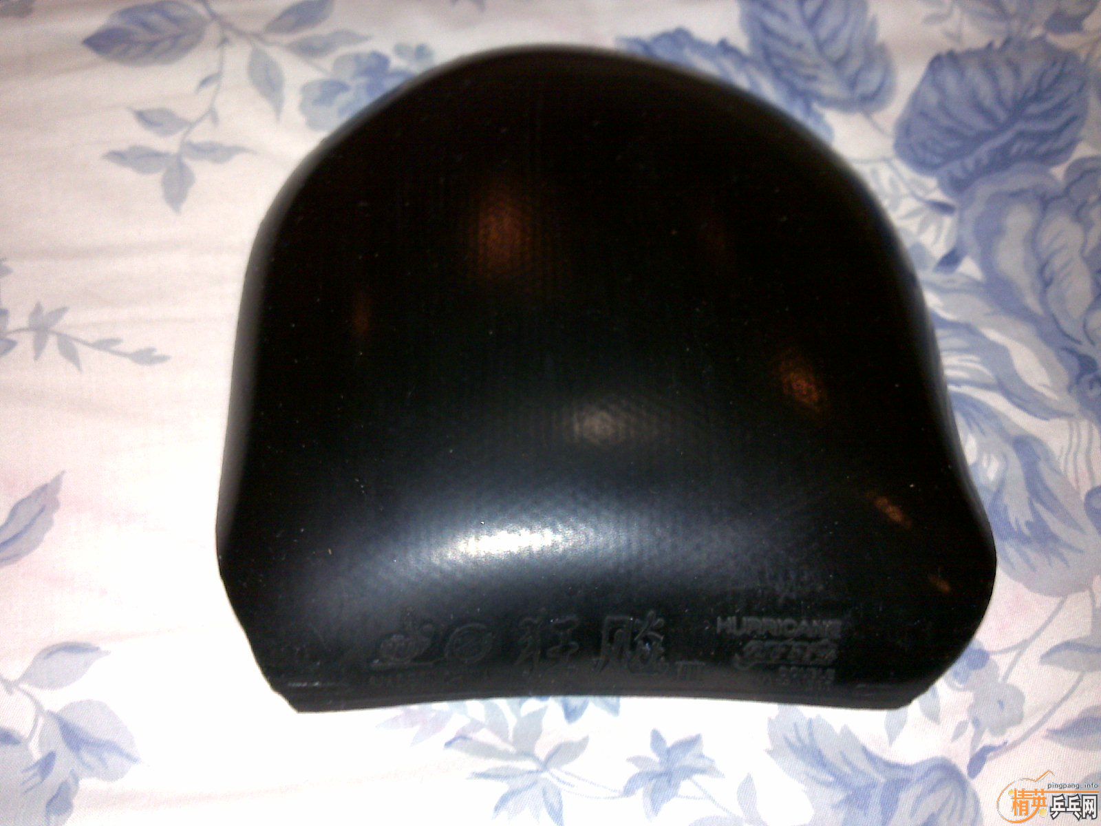 �����ѳ������׽�