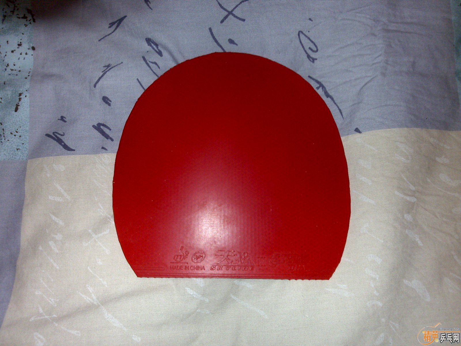 �����ѳ������׽�