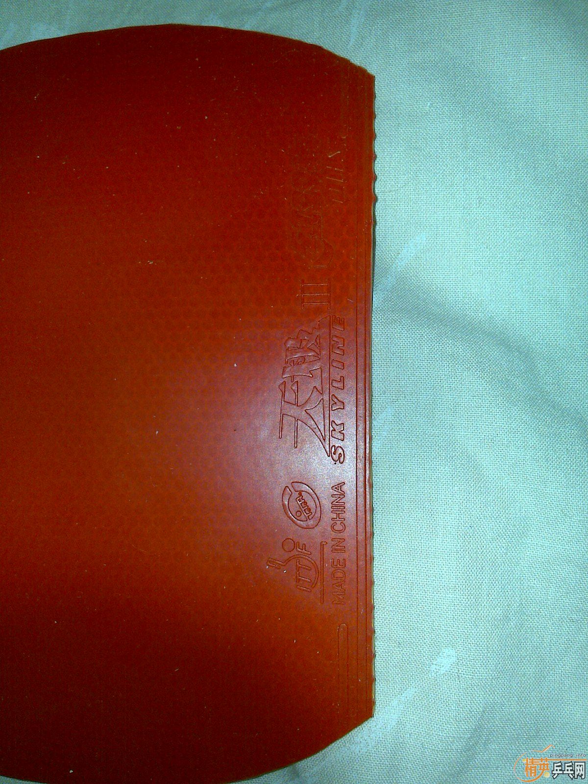 �����ѳ������׽�