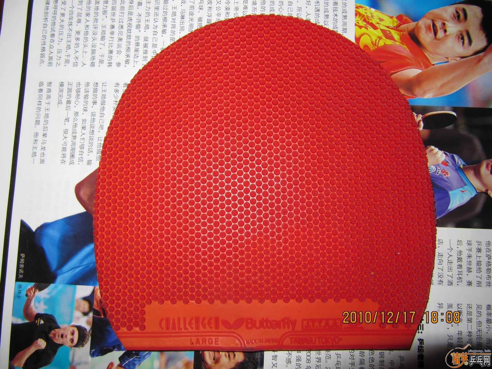 �����ſ�������