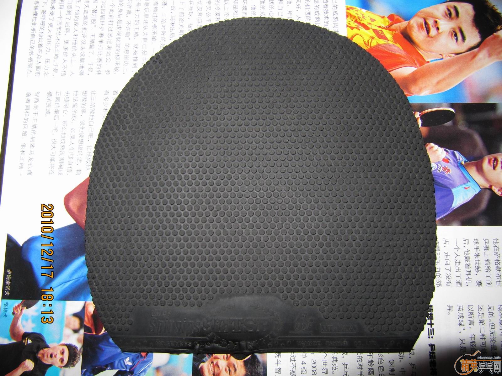 �����ſ�������