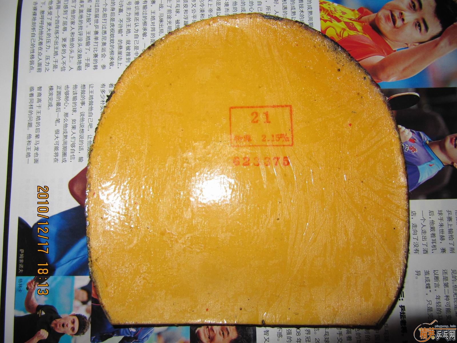 �����ſ�������