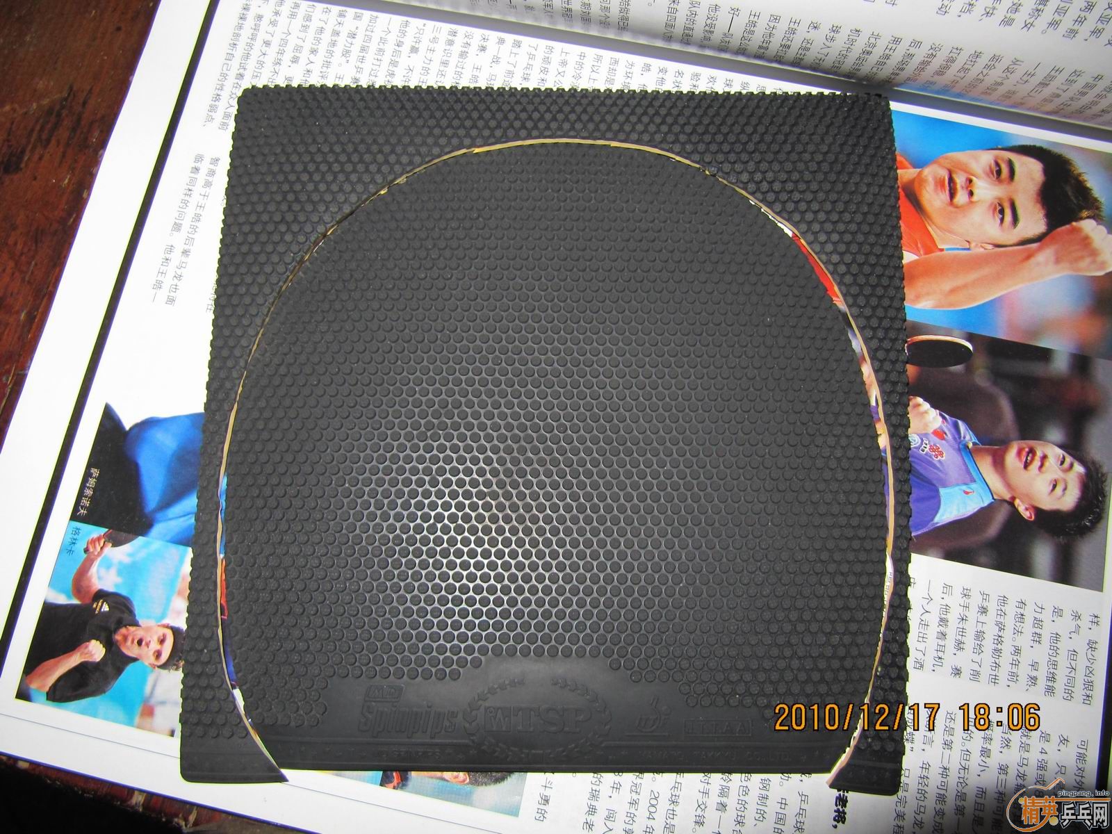 �����ſ�������