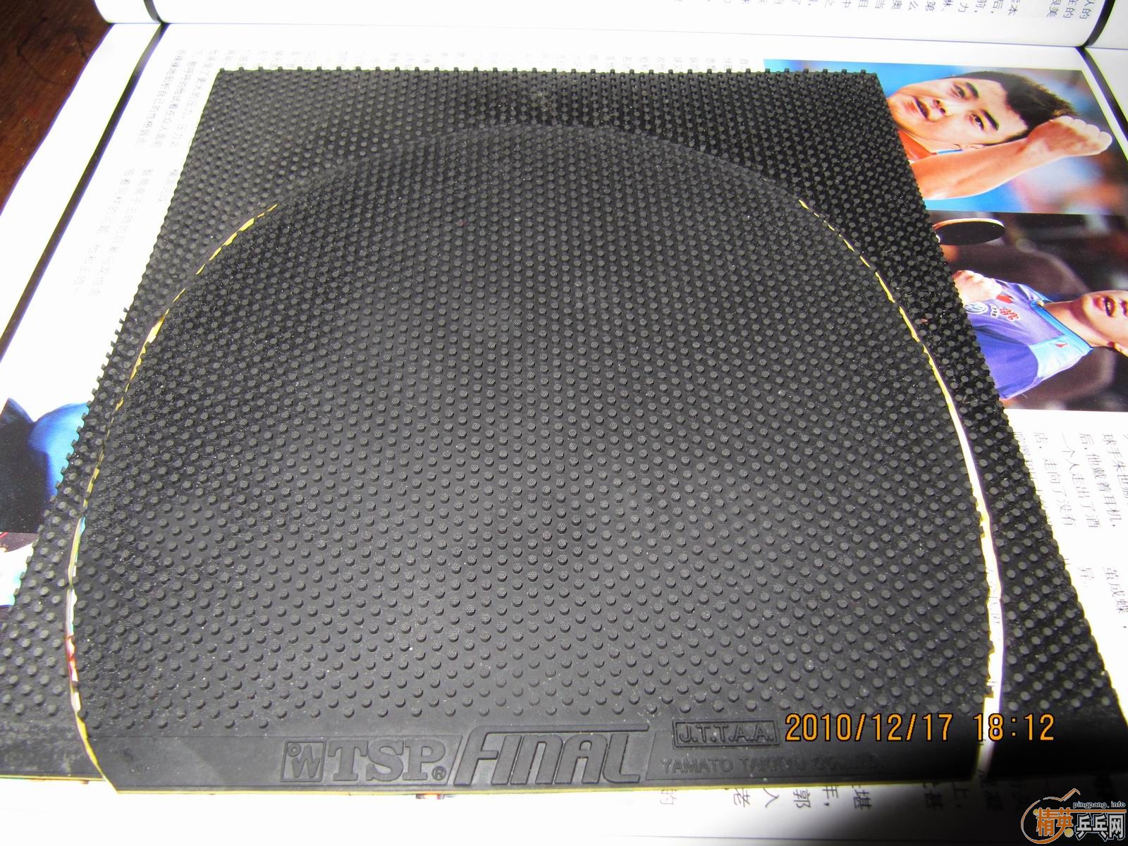 �����ſ�������