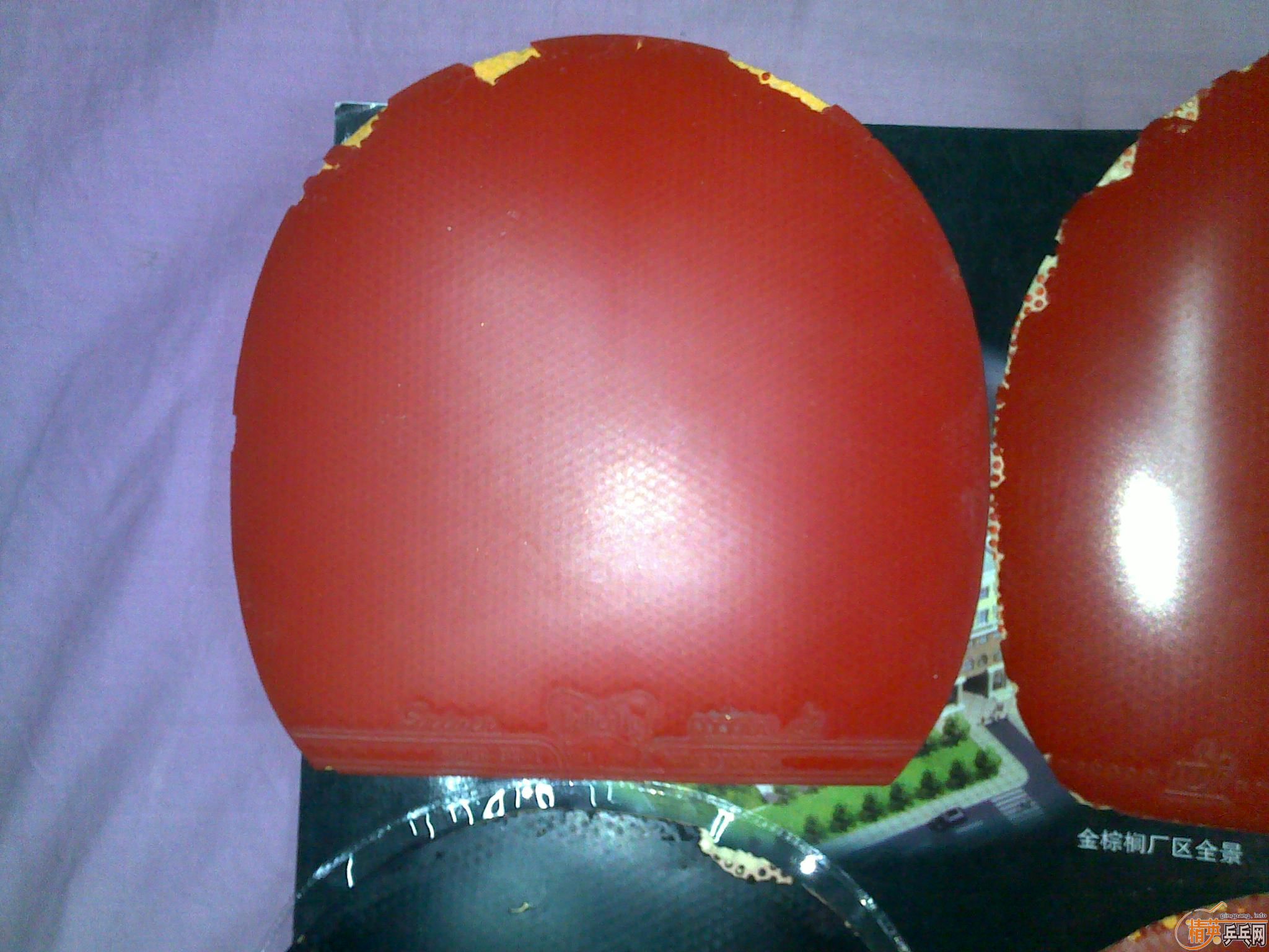 ��һ�������¿��׽� ̫�� ��T25 ����  �����~~~~~~~~~~~~~~~~~~~~~~~~~~~~~~~~~