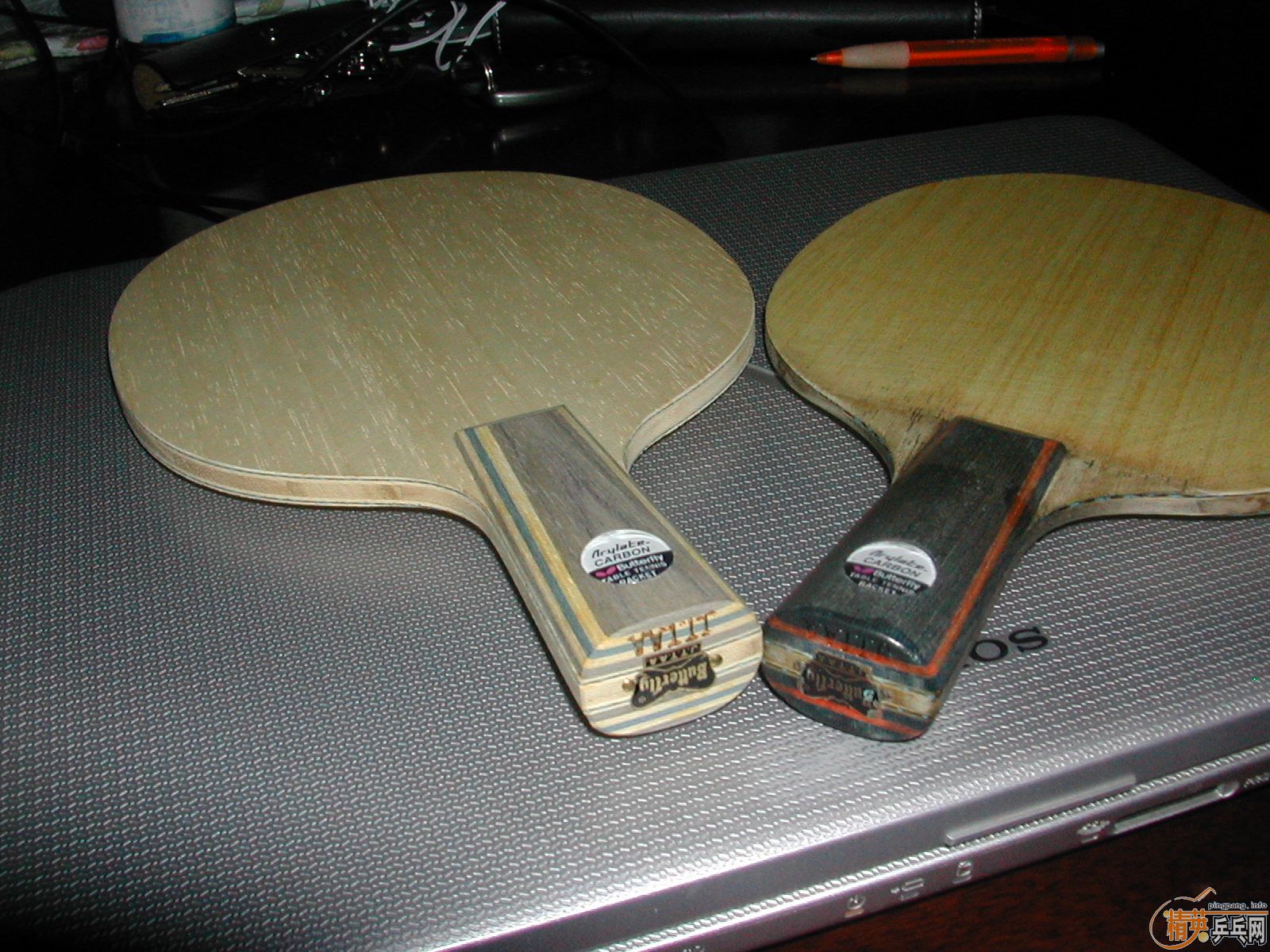 �����Ʋ�������~~~~~