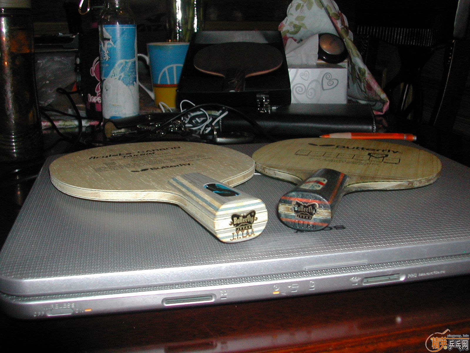 �����Ʋ�������~~~~~