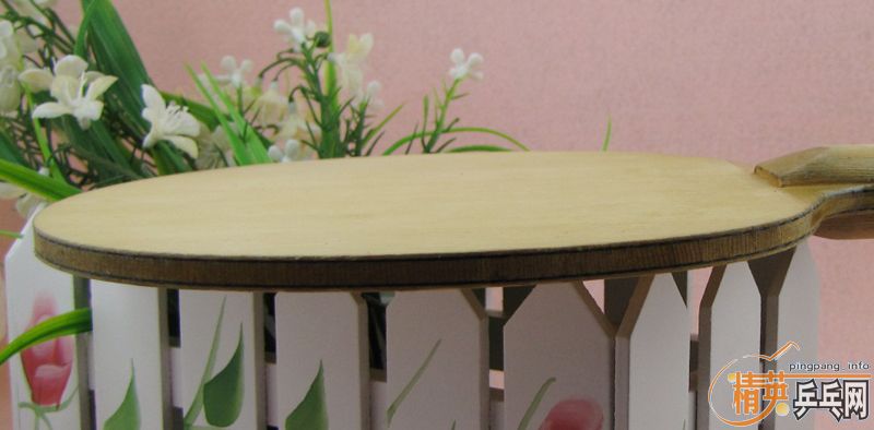 (�ѳ�)��ʦ�ܳ�һ��ŷ����̼ 300��