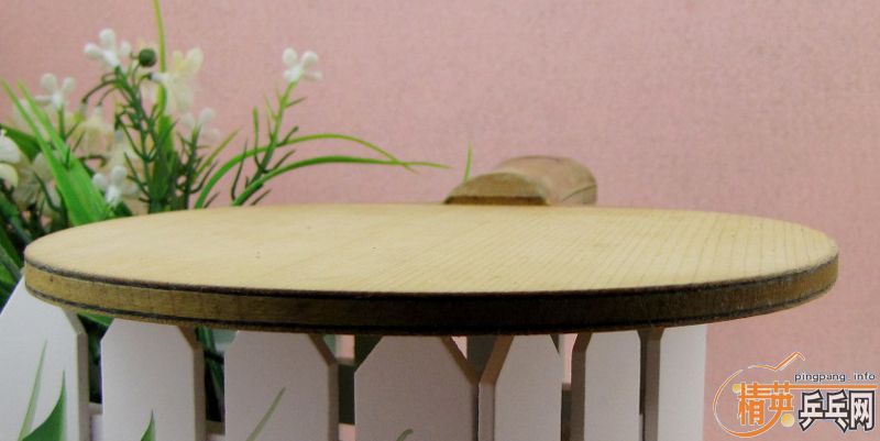 (�ѳ�)��ʦ�ܳ�һ��ŷ����̼ 300��