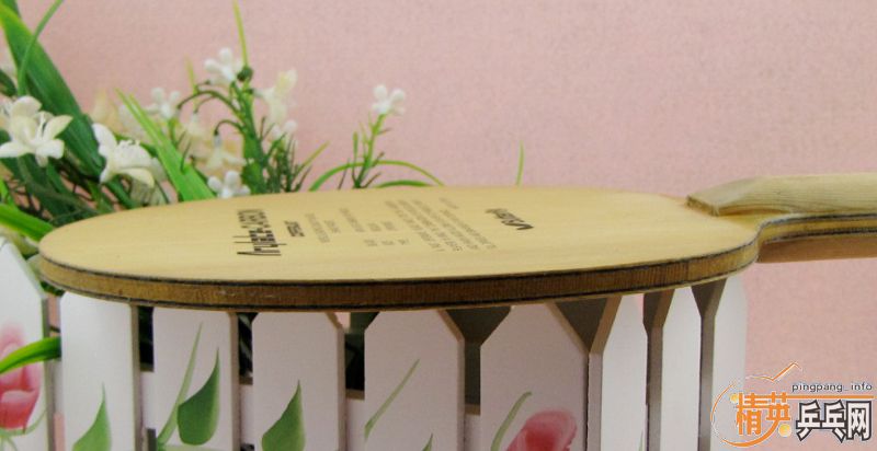 (�ѳ�)��ʦ�ܳ�һ��ŷ����̼ 300��