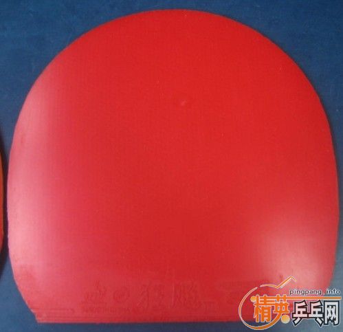 ����������쭵Ⱥ�NEW�Ľ�Ƥ��30�鲻��