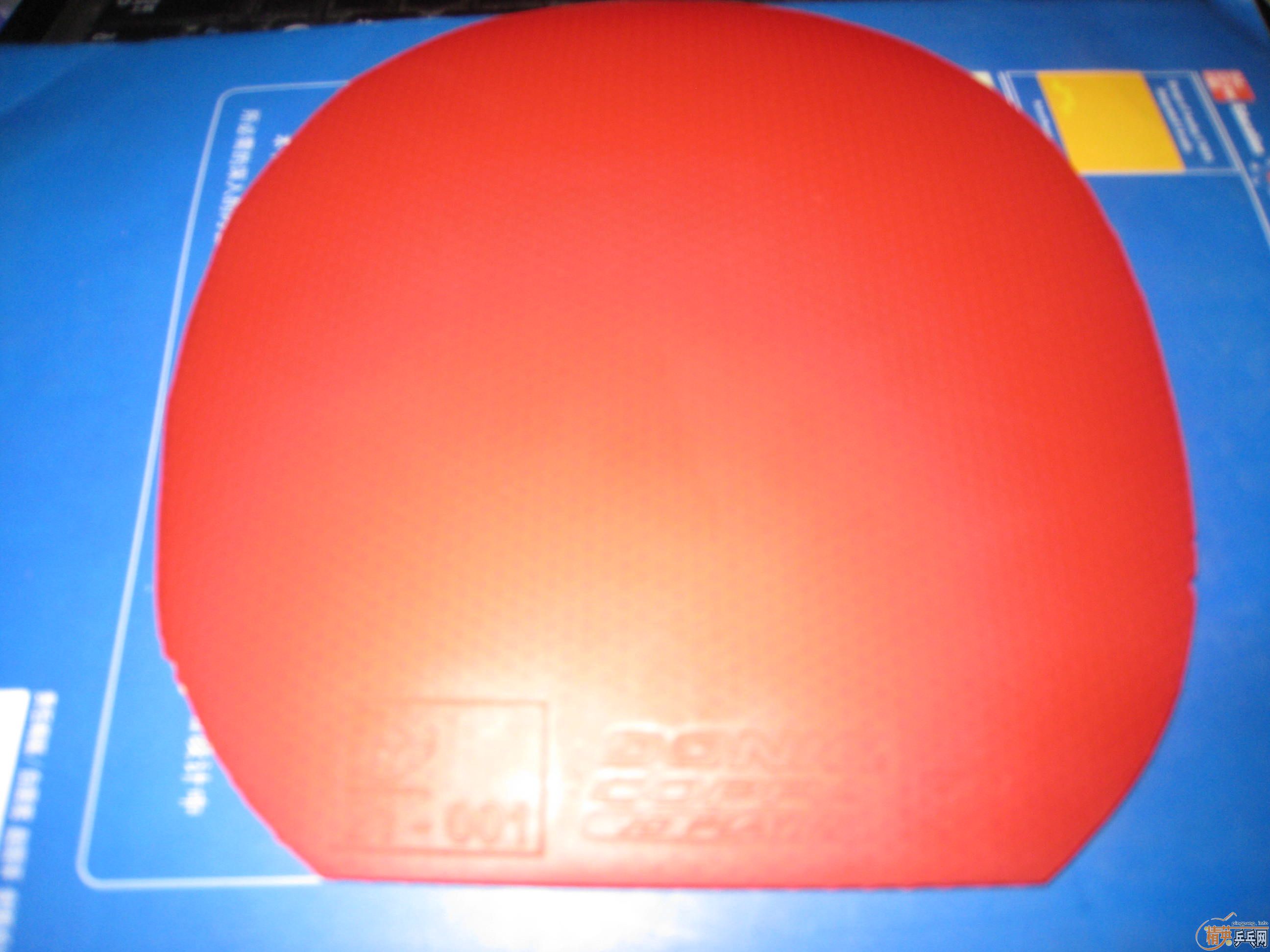 ����ѩ�ؿ��ñ��Ĺ��JO(50)�� Bryce(100)