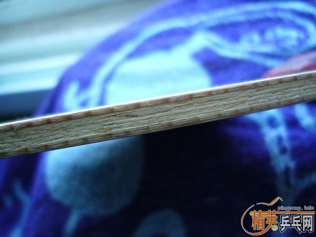 ��ɫ�ܺõĽ���FUGA/220����/����Ҳ���ԡ���