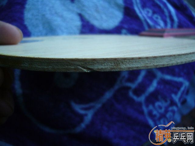 ��ɫ�ܺõĽ���FUGA/220����/����Ҳ���ԡ���