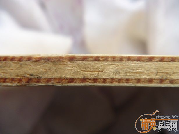 �����ճ� NITTAKU��ˮ����̼������бEG�������ƿ�ľ��