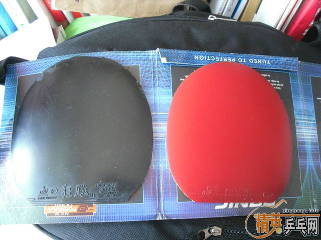 �� F1  40���տ�  ����   ��֧����