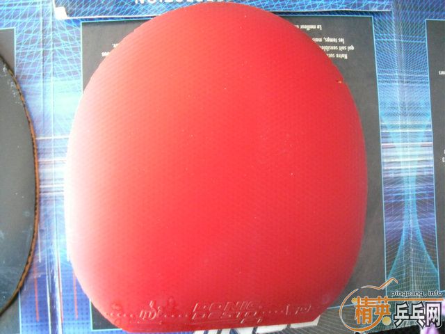 �� F1  40���տ�  ����   ��֧����