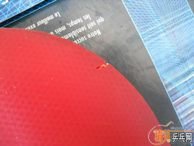 �� F1  40���տ�  ����   ��֧����