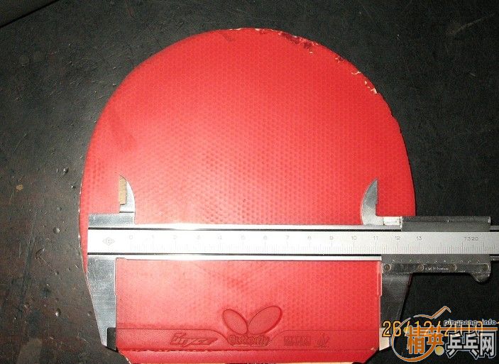 ��ɫ��� 80����