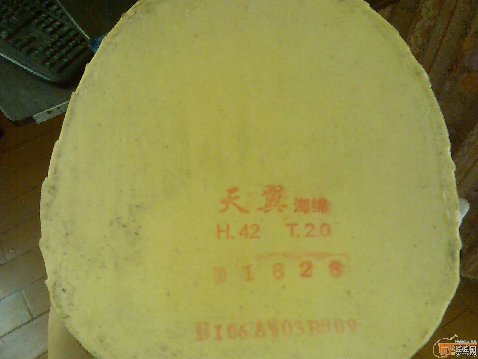 ��Ƥ���  ����