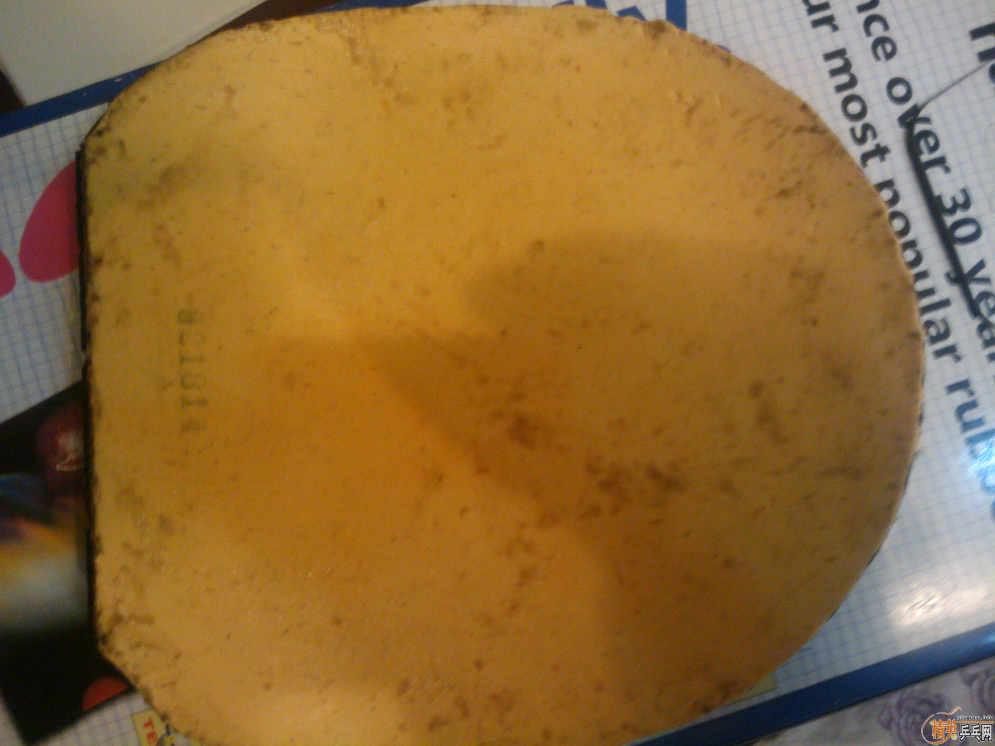 9���°�ǡ̼....240����ͨ